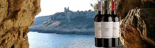 Acquista on line i vini di Castello Monaci