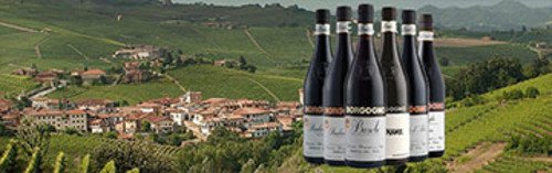 Acquista on line i vini di Borgogno