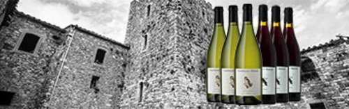 Acquista on line i vini di Castello di Fosini
