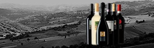 Acquista on line i vini di Feudi di San Gregorio