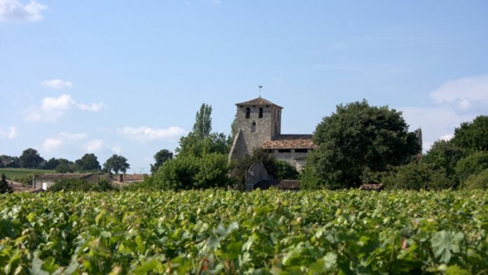 Château Pavie Macquin