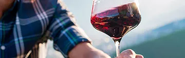 Acquista on line i vini di Lagrein