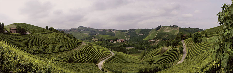Ceretto: dal Blangé al Barbaresco