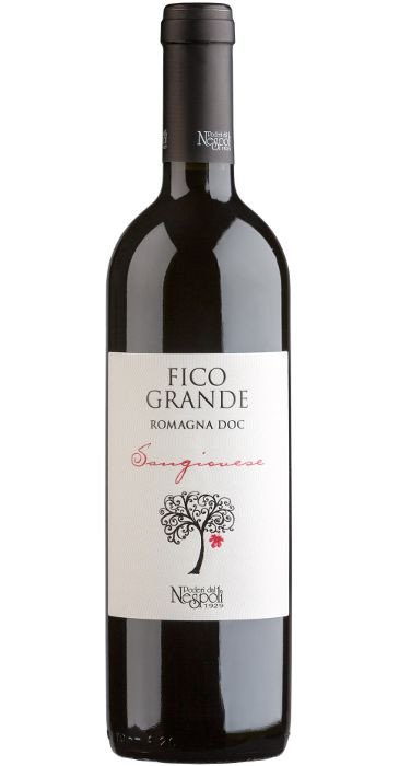 Poderi dal Nespoli Fico grande 2013  Romagna DOC