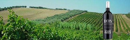 Acquista on line i vini di Di Majo Norante