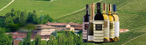 Acquista on line i vini di Fontanafredda