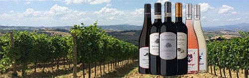 Acquista on line i vini di Grillesino