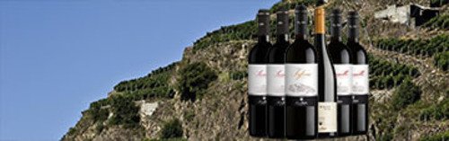 Acquista on line i vini rossi di Valtellina di Nino Negri