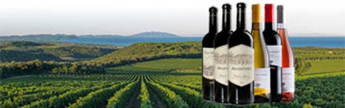 Acquista  online vini di Tenuta Argentiera a prezzo speciale