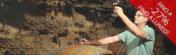 Acquista  online i vini rossi rossi altoatesini e il Pinot Nero di Brunnenhof a prezzo speciale