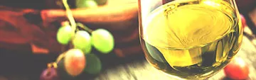 Acquista on line i vini Chardonnay